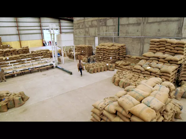 How Bosch Technology helps to improve the life of African communities: Coffee in Ethiopia