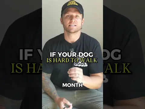 If Walking Your Dog Keeps Getting Harder, Watch This
