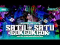 Lagu DJ VIRAL TIKTOK SATU TAMBAH SATU GOKGOKGOK NEW REMIX FULLBASS EBEST REVOLUTION