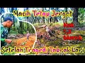 Download Lagu PEMIKAT TEKUKUR || DAPAT TEKUKUR KUK 1,2 SUARA MERSIK