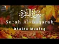 Download Lagu Surah Al-Baqarah Full Arabic  Recitation by Obaida Muafaq | Powerful \u0026 Soothing Quran Tilawat