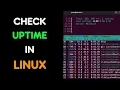 How to check uptime on Linux