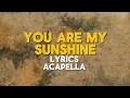 You are my sunshine | lyrics | vocals only | clean acapella | Christina Perri