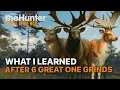 6 Fallow Deer Great One Grinds Here s What I Learned the Hunter Call of the Wild