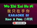 Download Lagu Wo Zhi Zai Hu Ni Karaoke 我只在乎你 Dj Remix (Xiao A Feng - 小啊枫)