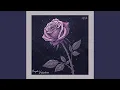 Download Lagu Purple Valentine