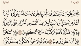 سورة البقرة مكررة من آية 191 إلى 196 القارئ وديع اليمني 