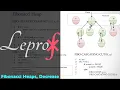 Algorithms 18 Data Structures Fibonacci Heaps decrease key part - 5 LEPROF