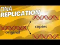 DNA Replication The Key Points for AP Bio in 8 Minutes