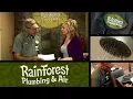 RainForest Plumbing Web Promo