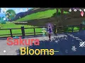 Find the Sakura Blooms | Give kumi Three Sakura Blooms Genshin impact