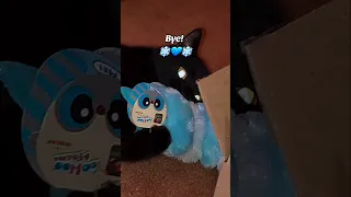 my dream beanie boo