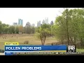 Atlanta suffers as pollen continues to increase