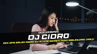 DJ CIDRO - DIDI KEMPOT REMIX GALAU SLOW BASS