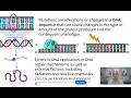 Mutations AP Biology Topic 6 7 Updated 2025