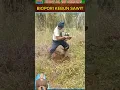 Download Lagu 🤣BIKIN SAWIT TAMBAH SUBUR 😎