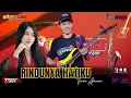 RINDUNYA HATIKU - TIARA AMORA - HAPPY LOSS - LOSS MUSIKNYA