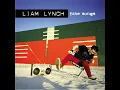 United States Of Whatever - Liam Lynch