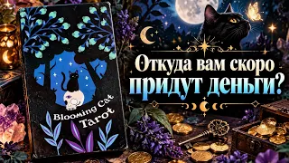 Откуда вам скоро придут деньги? Гадание Tarot Cards 
