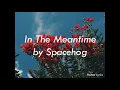 In The Meantime by Spacehog LYRICS (HQ)