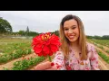 San Antonio family s farm creates bright memories while helping local businesses
