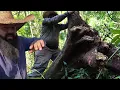 Lagu erguendo as cercar depois da ventania do fim de semana