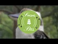 Kookaburra | Sing-Along Video with Lyrics for Kids [SONG]