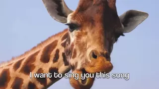 The Mrbrown Show The Giraffe Song 