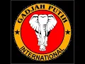Download Lagu KIDUNG BUBUKA KOMBINASI PENCAK SILAT GAJAH PUTIH
