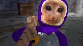 Capuchin horror level 2 Best moments and screams VR Capuchin