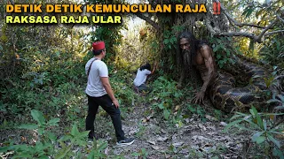 DETIK DETIK RAJA ULAR RAKSASA INI ,TIBA TIBA MUNCUL!”
