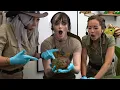 Jessica Nigri And PeachJars Visits Maya At Alveus