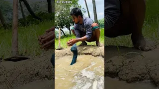Snake While Washing Hands In The River 