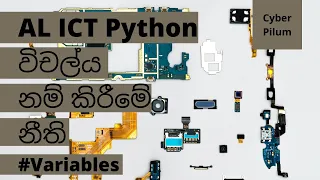 AL ICT Python Variable Naming Rules Sinhala -