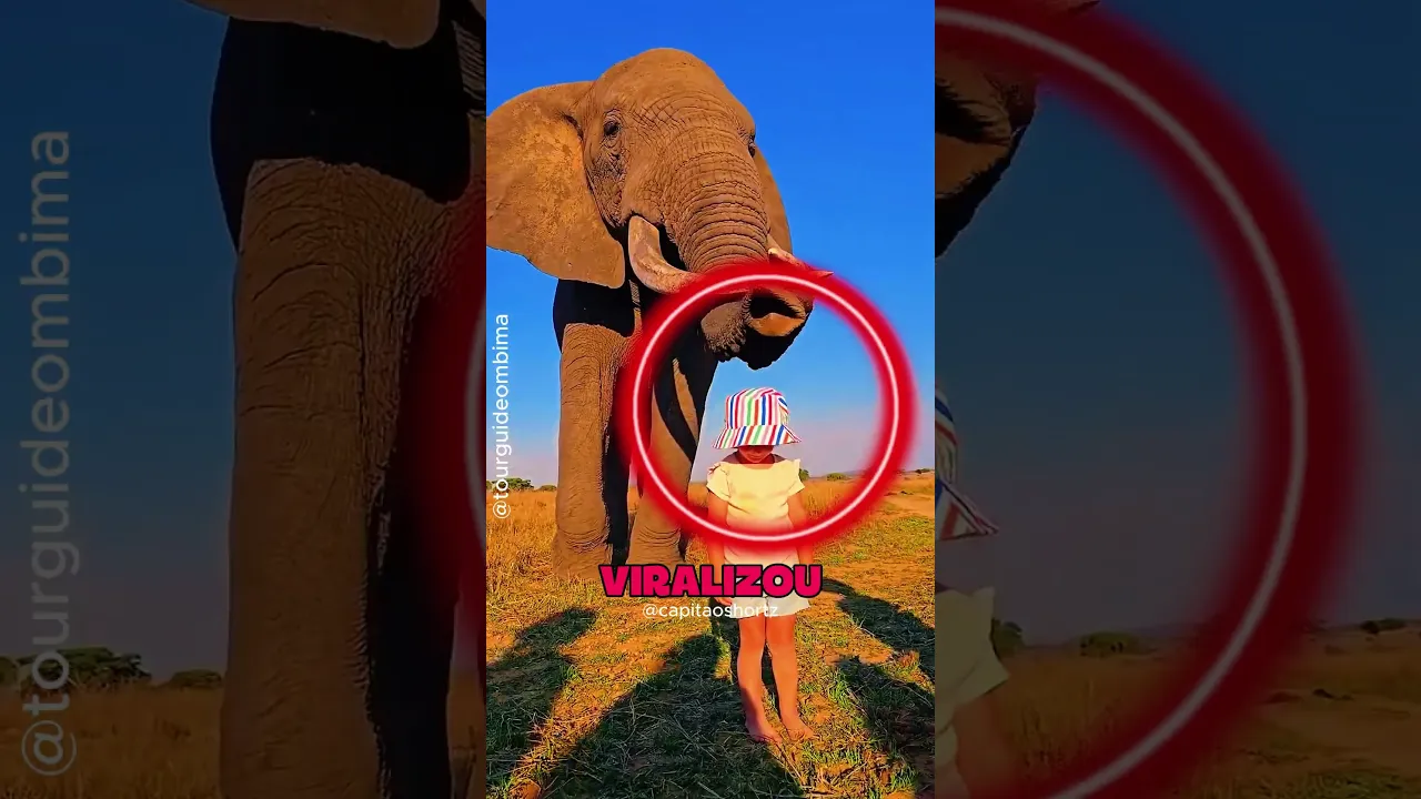 O ELEFANTE BRINCALHÃO 😍