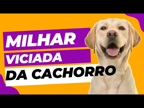 Download MP3 Milhar e Centenas Viciadas do CACHORRO - As milhar e centena que mais sai do cachorro para 2023