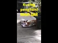 Download Lagu Allah Allah Aghitsna Ya Rosullah [Lyrics]. Feeding stray cat. #Shorts