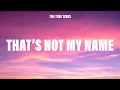 The Ting Tings - That s Not My Name