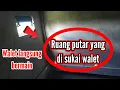Download Lagu RUANG PUTAR YANG COCOK UNTUK MANUVER BURUNG WALET, WALET LANGSUNG SUKA BERMAIN DAN BERPUTAR