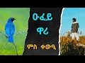 ዑፈይ ዋርን ቀውዕን - Ufey Warin Qewein