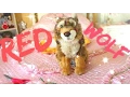 Webkinz Signature Red Wolf Package
