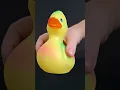 Download Lagu Squeaky toy Duck sounds for Dogs  #soundsdogslove  #funny #dogsound