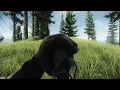 Alcohol animations - Escape from Tarkov