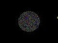 Phyllotaxis