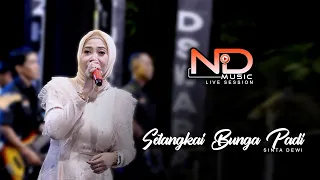 Download SETANGKAI BUNGA PADI  II  SINTA DEWI - COVER  II  NEW D'SWARA MUSIC  II  LIVE GM 2022 MP3