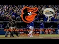 The Baltimore Orioles Professional Baseball s Avian Flu
