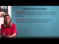 VCE Psychology - Allostasis and homeostasis