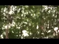 에릭 사티 짐노페디 1번-  클래식 연속듣기 1시간 Gymnopedie no 1 Satie