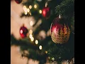 O Christmas Tree - Xmas Parties