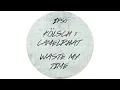 Kölsch & CamelPhat - Waste my time